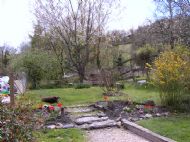 Spring in the garden